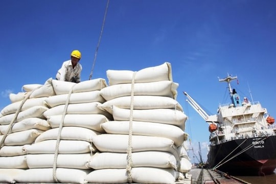 Giá gạo 5% tấm xuất khẩu Việt Nam vẫn cao hơn Thái Lan