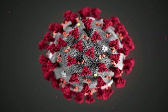 Tin vắn thế giới ngày 9/3: Phát hiện virus đột biến mới gây COVID-19 tại Oregon, Mỹ