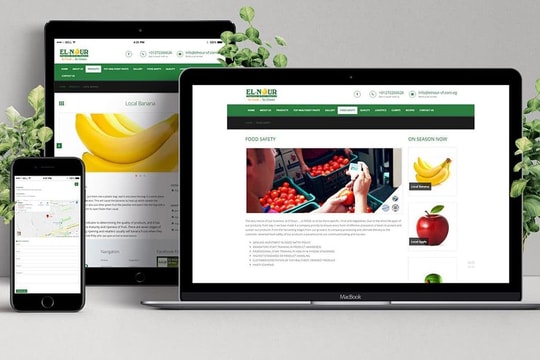 Xây dựng website cần những gì để hoạt động hiệu quả?