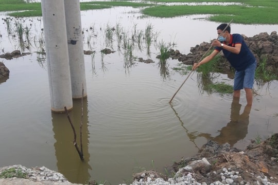 Vụ 2 cháu bé đuối nước dưới chân cột điện: Công ty Điện lực Thanh Hóa nhận thiếu sót khi cung cấp thông tin