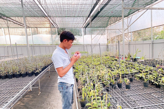 Nguyễn Quốc Trường chia sẻ kinh nghiệm và đam mê cùng         người chơi hoa lan