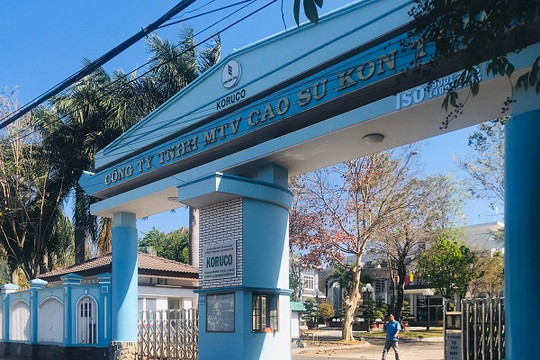 Kon Tum: Công ty đấu giá hợp danh tài sản Đông Đô có dấu hiệu “thông thầu” tại gói thầu hơn 18 tỷ