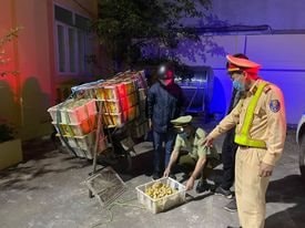 Liên tiếp bắt giữ hàng nghìn con gia cầm không rõ nguồn gốc