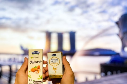 Vinamilk xuất khẩu sữa tươi chứa tổ yến đi Singapore, tiếp tục phát triển thị trường với phân khúc cao cấp