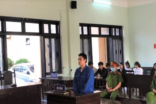 Mang theo hơn 700 viên ma túy đi chơi lĩnh 14 năm tù
