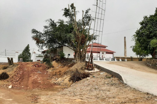 Sông Lô (Vĩnh Phúc): Hàng loạt công trình ngang nhiên “mọc” trên đất rừng