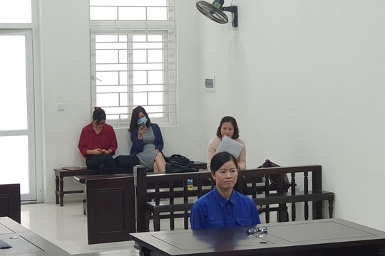 Lừa đảo chiếm đoạt tài sản, nữ Giám đốc doanh nghiệp ở Hà Nội lĩnh 14 năm tù