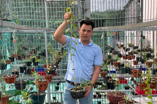 Hành trình thực hiện ước mơ của ông chủ vườn lan Lê Ngọc Hùng