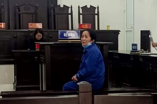 Lừa “chạy trắng án” ma túy, nữ bị cáo ở Hà Nội lĩnh án 14 năm tù