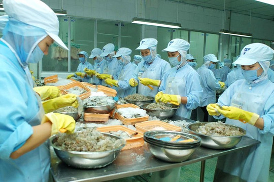 Bộ Tài chính xác nhận doanh nghiệp chế biến thủy sản được hưởng ưu đãi thuế thu nhập doanh nghiệp
