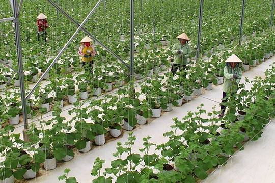 Phấn đấu đến năm 2030 cả nước có trên 5000 hợp tác xã ứng dụng công nghệ cao