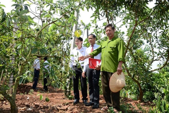 Agribank 33 năm – hành trình không mỏi