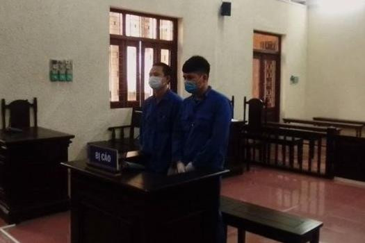 Trộm 3 con chim, đôi bạn chia nhau 20 tháng tù