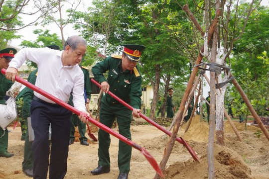 TT- Huế: Hưởng ứng sôi nổi phong trào “Mai vàng trước ngõ”