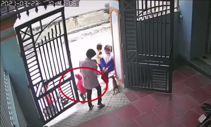 Em bé bất ngờ lao qua đường và âm thanh từ cú đâm xe chói tai gây ám ảnh