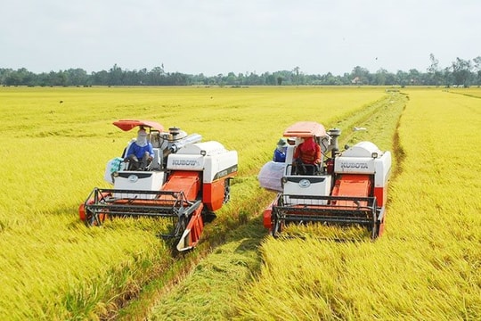 Nhìn lại sản xuất nông, lâm nghiệp và thủy sản quý 1/2021