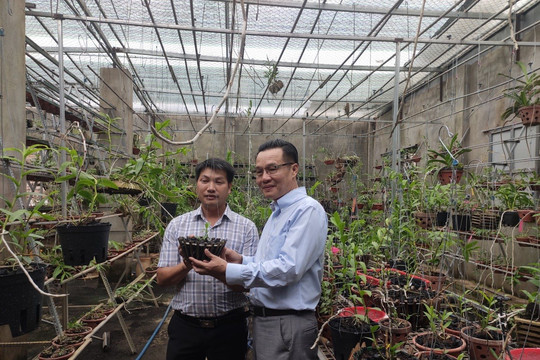 Anh Nguyễn Quốc Tư: "Tôi sẽ luôn nỗ lực cống hiến cho cộng đồng trồng lan phát triển mạnh mẽ"
