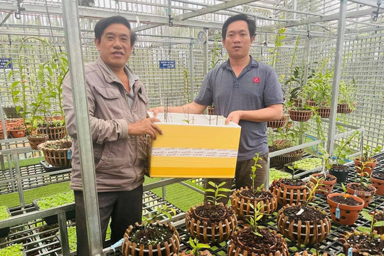 Làm giàu với thú vui tao nhã từ việc trồng lan của         nghệ nhân         Nguyễn Ngọc Vương
