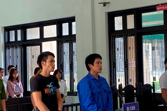 Lĩnh 42 tháng tù vì chuyên trộm mai cảnh