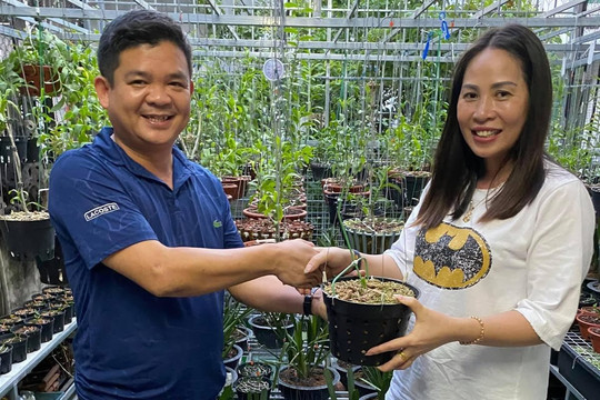 Nghệ nhân Nguyễn Ngọc Huy – Người trồng lan nổi tiếng nơi đất võ Bình Định