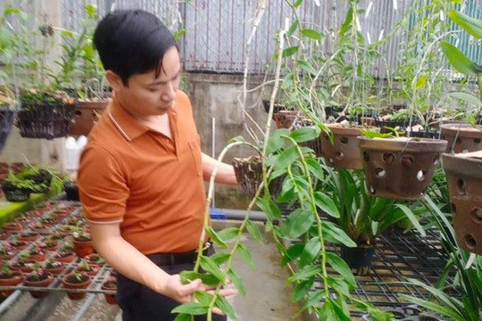 Gặp ông chủ vườn lan Mạnh Hùng tìm hiểu bí quyết thành công khi trồng lan