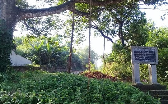 Nho Quan (Ninh Bình): Đẩy mạnh gắn kết tài nguyên rừng với du lịch
