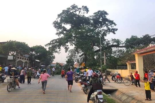 Khoảnh khắc cây đa 300 tuổi gãy cành đè trúng 4 học sinh ở Nghệ An