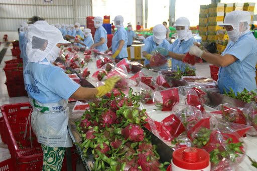 [Infographic] Xuất khẩu nông, lâm, thủy sản tăng gần 20% trong quý 1/2021