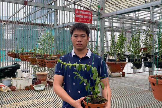 Nghệ nhân Bùi Văn Dũng, ông chủ 8x sở hữu vườn lan đột biến lớn nhất nhì đất Hòa Bình