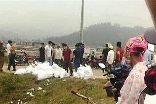 Nghệ An: Triệt phá chuyên án lớn, thu giữ hơn 2 tạ ma túy