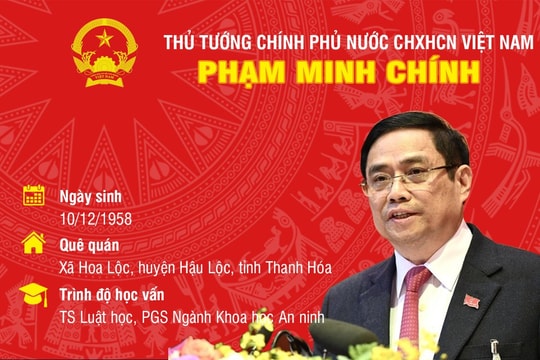 Infographic: Quá trình công tác của Thủ tướng Chính phủ Phạm Minh Chính
