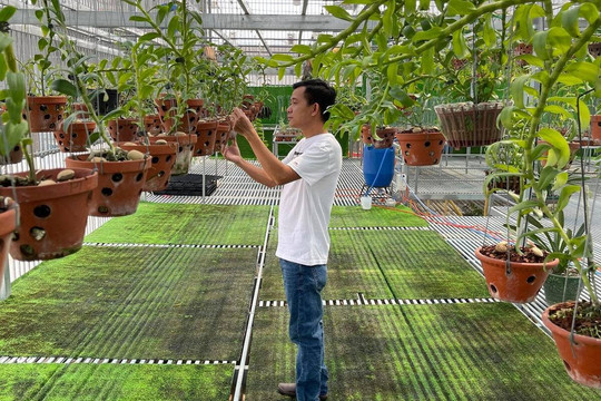 Chặng đường thành công của ông chủ vườn lan Phạm Minh Minh