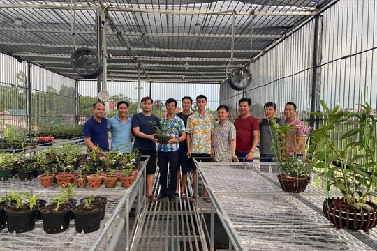 Trần Vinh và câu chuyện khởi nghiệp từ đam mê lan rừng