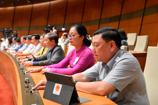 Miễn nhiệm thành viên Hội đồng Quốc phòng An ninh, Hội đồng Bầu cử quốc gia