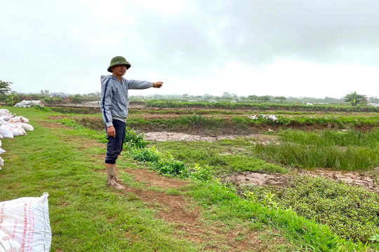 Huyện Vĩnh Bảo (Hải Phòng): UBND xã Vĩnh An cho thuê đất trái pháp luật khiến người dân vướng vào lao lý