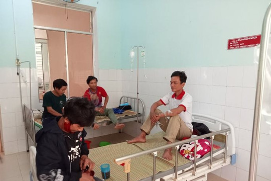 5 người nhập viện sau khi ăn nấm lạ