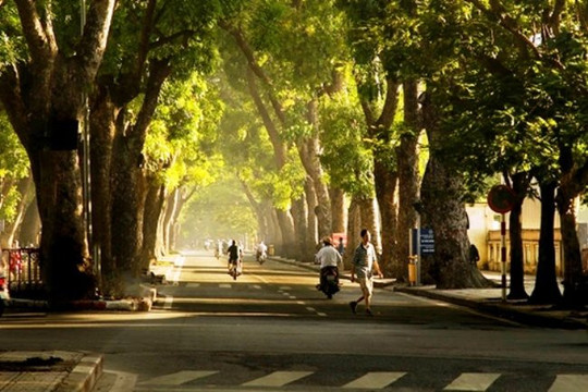 Dự báo thời tiết 12/4: Miền Bắc sáng có mưa vài nơi, trưa hửng nắng ấm