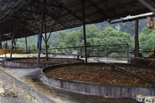 Phát hiện thêm một công ty xả thải trái phép ra sông Mã