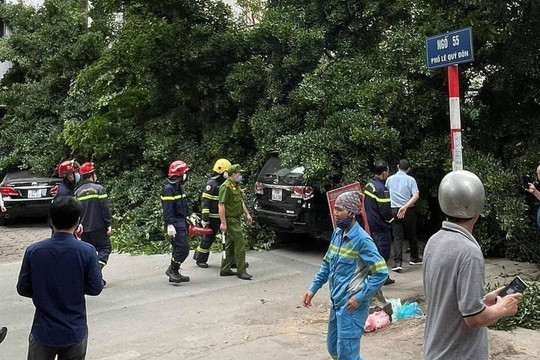 Cây xanh bất ngờ bật gốc đè lên ô tô con đang lưu thông trên đường