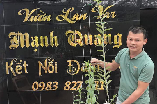 Anh Bùi Mạnh Quang: Đến với nghề lan như một chữ “duyên”