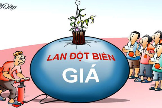 Cần ứng biến quyết liệt hơn trước những “đột biến”