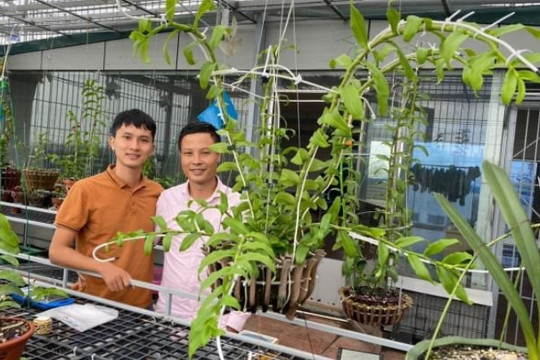 Nghệ nhân Lê Thế Anh: Cuộc đời tôi đã thay đổi nhờ lan
