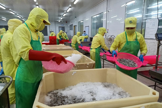 Còn 9,2 triệu người trên 60 tuổi không có lương hưu, trợ cấp BHXH