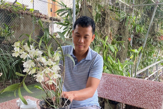 Chủ tịch CLB Lan Var Kinh Bắc Vũ Tài Anh: Được thêm nhiều bạn bè chân thành từ thú vui sưu tầm cây