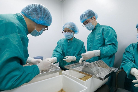 Sáng 20/4, không có ca mắc mới COVID-19, hơn 80.800 người Việt đã tiêm vắc xin phòng dịch