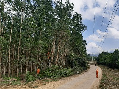 Thừa Thiên - Huế: Đảm bảo cung cấp điện an toàn, ổn định trong dịp lễ