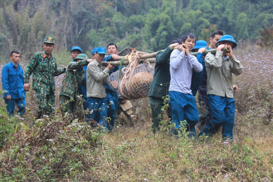 Vĩnh Phúc: Huỷ nổ thành công quả bom 340 kg