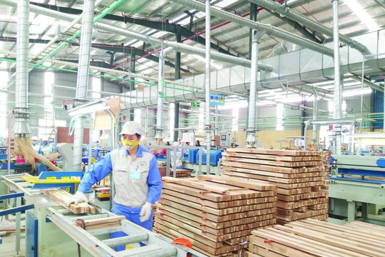 Khó khăn trong việc kiểm soát rủi ro nhập khẩu gỗ