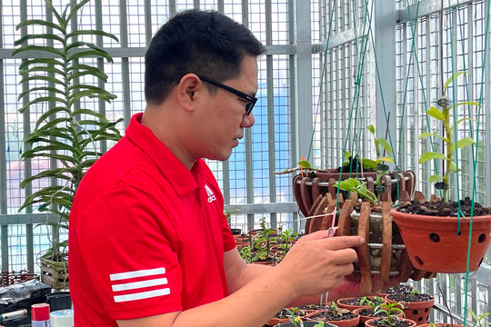 Ông chủ vườn lan Trần Chiến: Chơi lan thành công từ kinh nghiệm thực tế