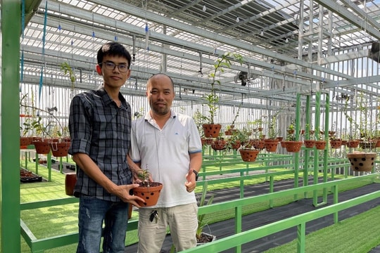 8x Nguyễn Đức Tâm tiết lộ bí mật chơi lan đột biến cho người mới bắt đầu